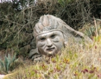 Imagen Cara de Indio